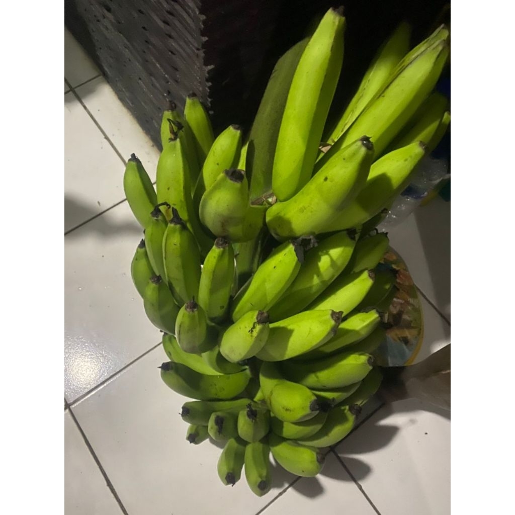 

Buah Pisang Mentah DRM KG Pisang Bangkaulu