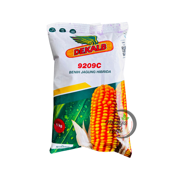 Benih Jagung Hibrida Dekalb DK 9209C 1 Kg Original