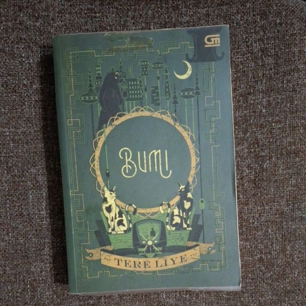 PRELOVED Buku Novel Tere Liye Bumi ORIGINAL GRAMEDIA