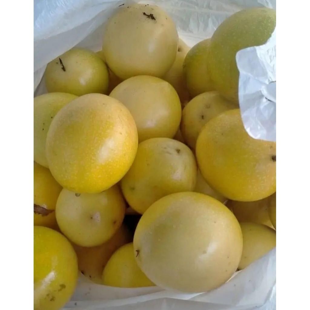 

Buah markisa kuning 1 kg super