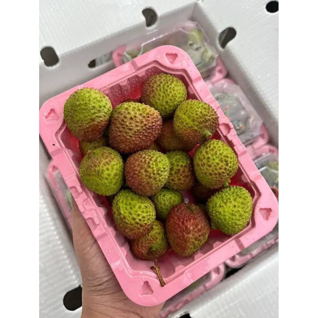 

leci madu