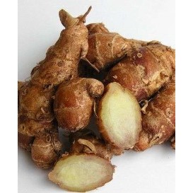 

KENCUR SEGAR 500g SUPER MURAH BERKUALITAS - Kencur Jawa Asli