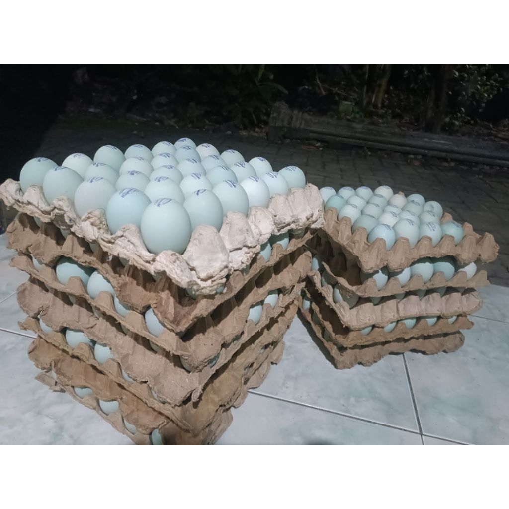 

telor asin hamdalah