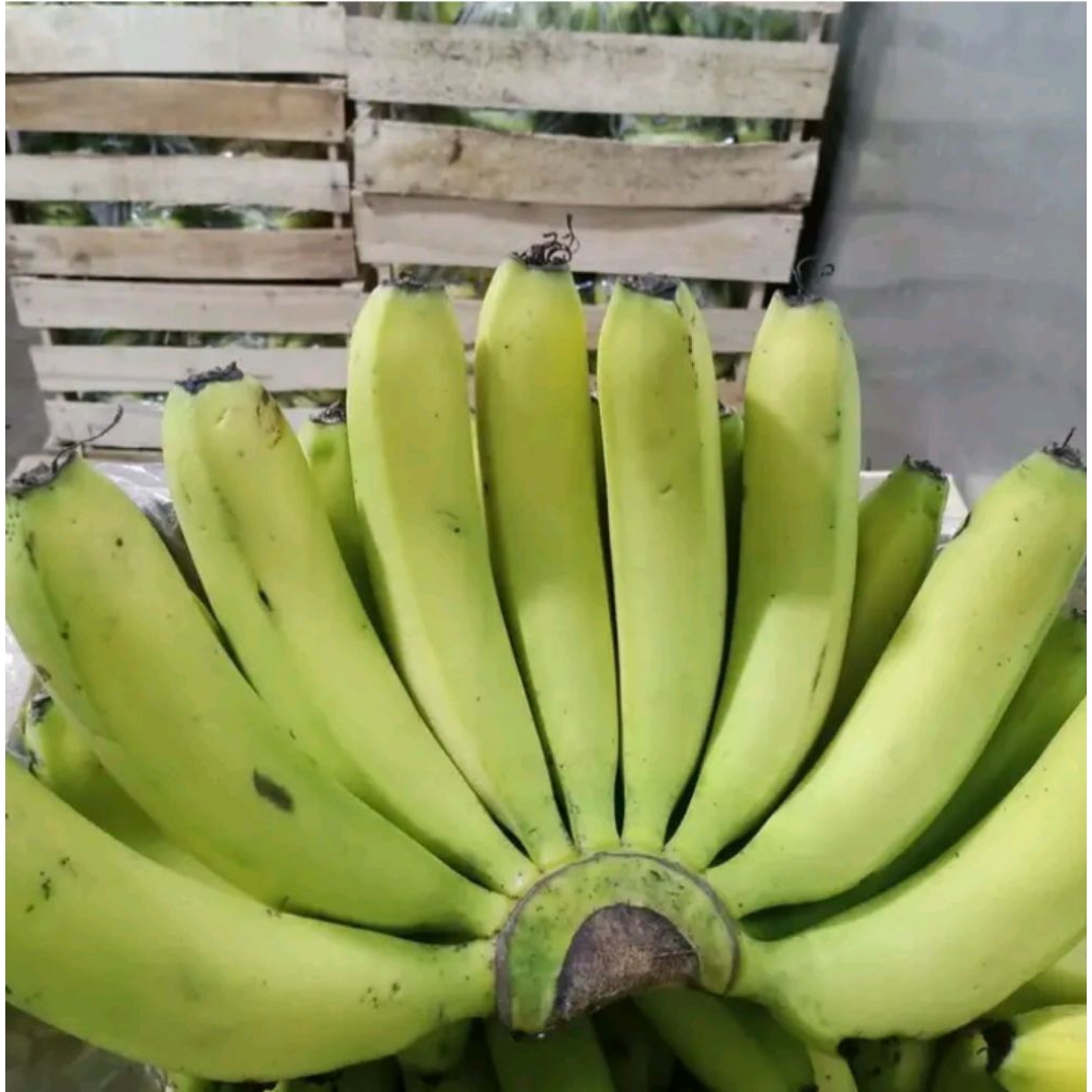 

pisang cavendish madu