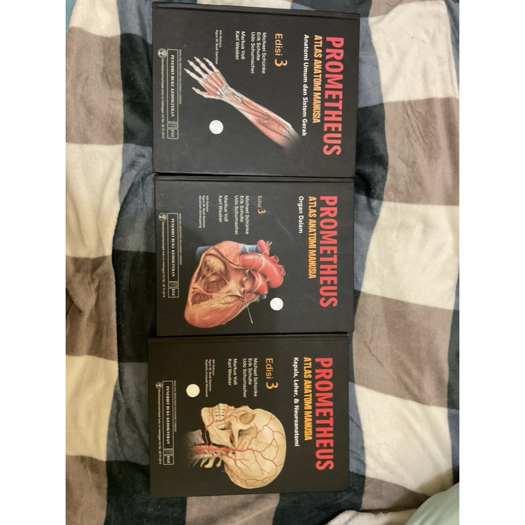 atlas anatomi prometheus