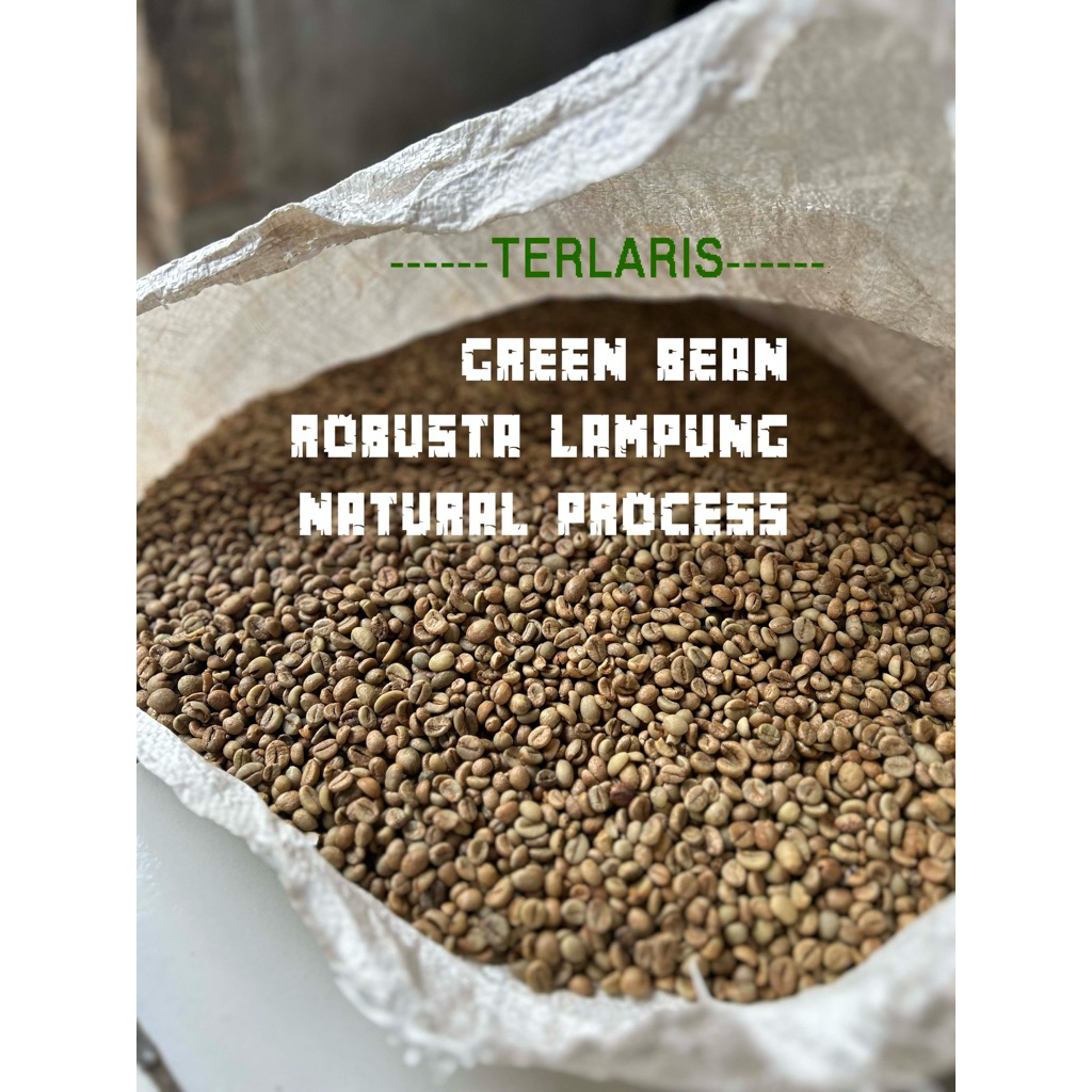 

Green Bean / Biji Kopi Mentah Robusta Lampung GRADE 2