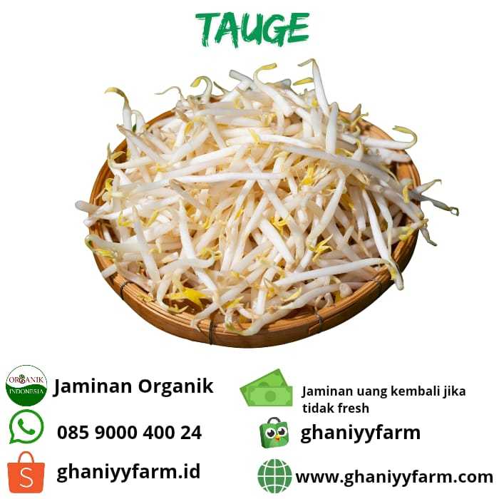 

Sayur Organik Tauge Organik 250 Gram