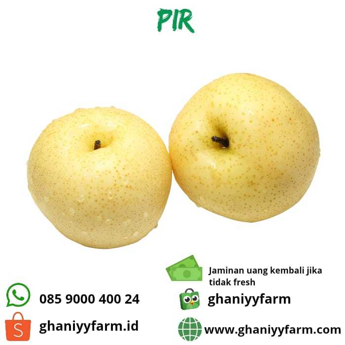 

Buah Pir segar 1kg