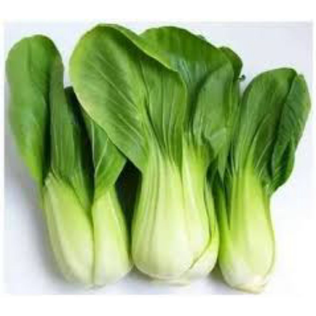 Isi 1 biji benih sayur sawi pokcoy hidroponik