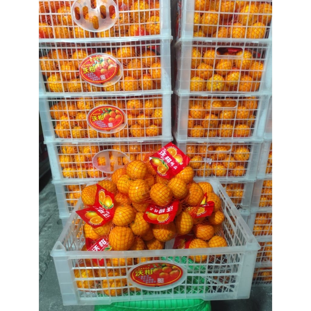 

JERUK WOGAN MANIS/KG