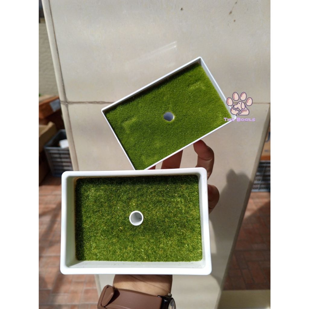 (The Bool's) Pot plastik persegi, pot plastik, pot tanaman, pot tanaman kotak, pot tanaman persegi, 