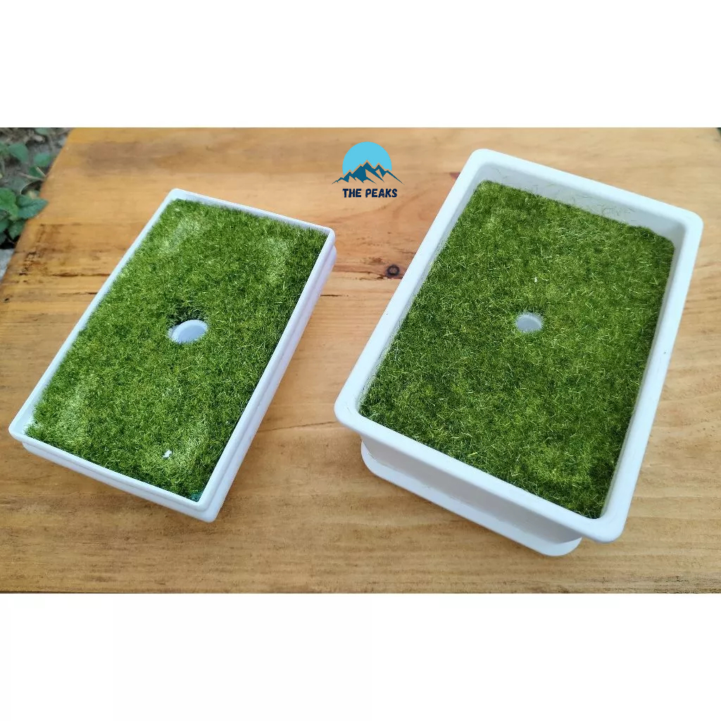 (The Peaks) Pot plastik persegi, pot plastik, pot tanaman, pot tanaman kotak, pot tanaman persegi, p