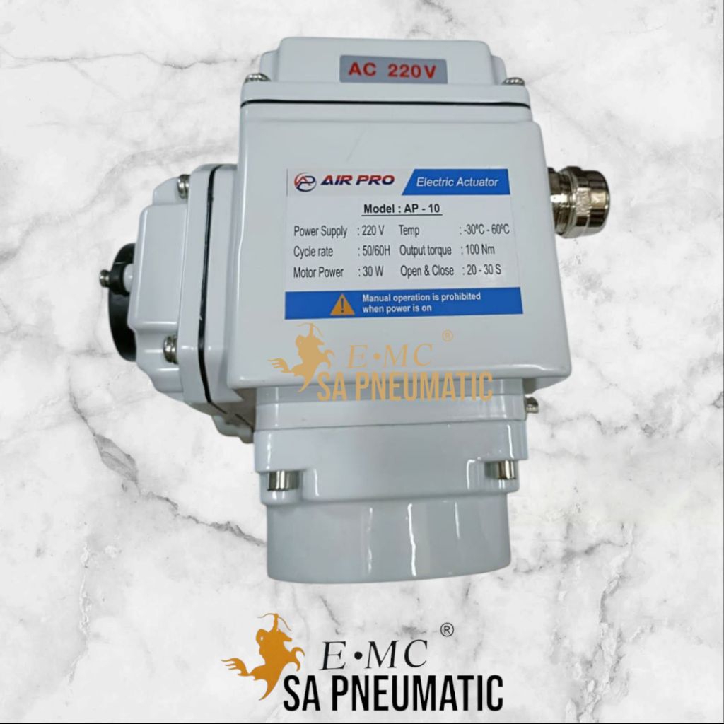 Motorized FTE 05/Electric Actuator FTE 05 AC 220