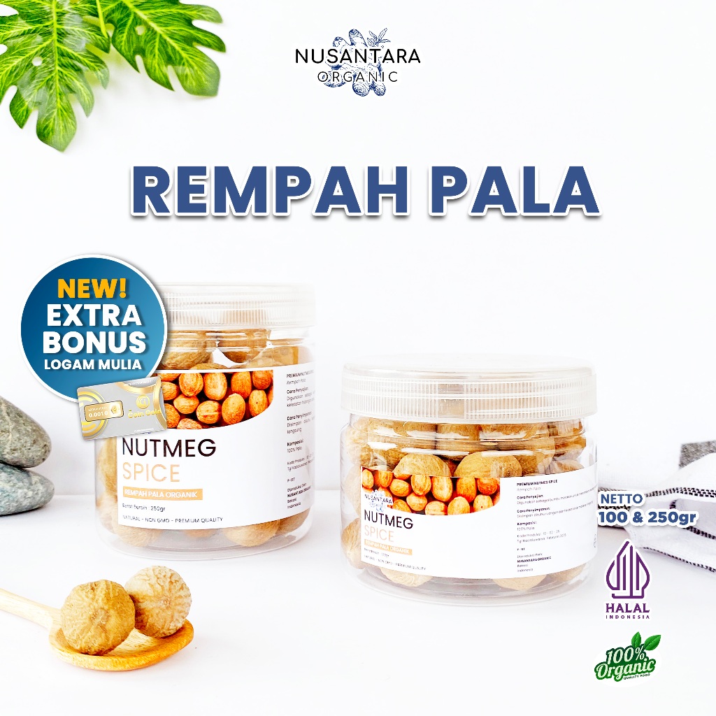 

Nusantara Organic Biji Pala Organik Kering Rimpang Utuh Rempah Nutmeg Bumbu Alami Whole