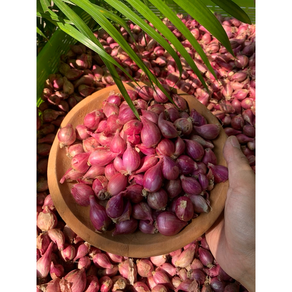 

PROMO!!! (500gr) Bawang Merah Nganjuk Kering Mix Termurah Bamer Berkualitas