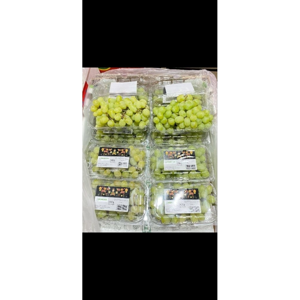 

anggur muscat hijau