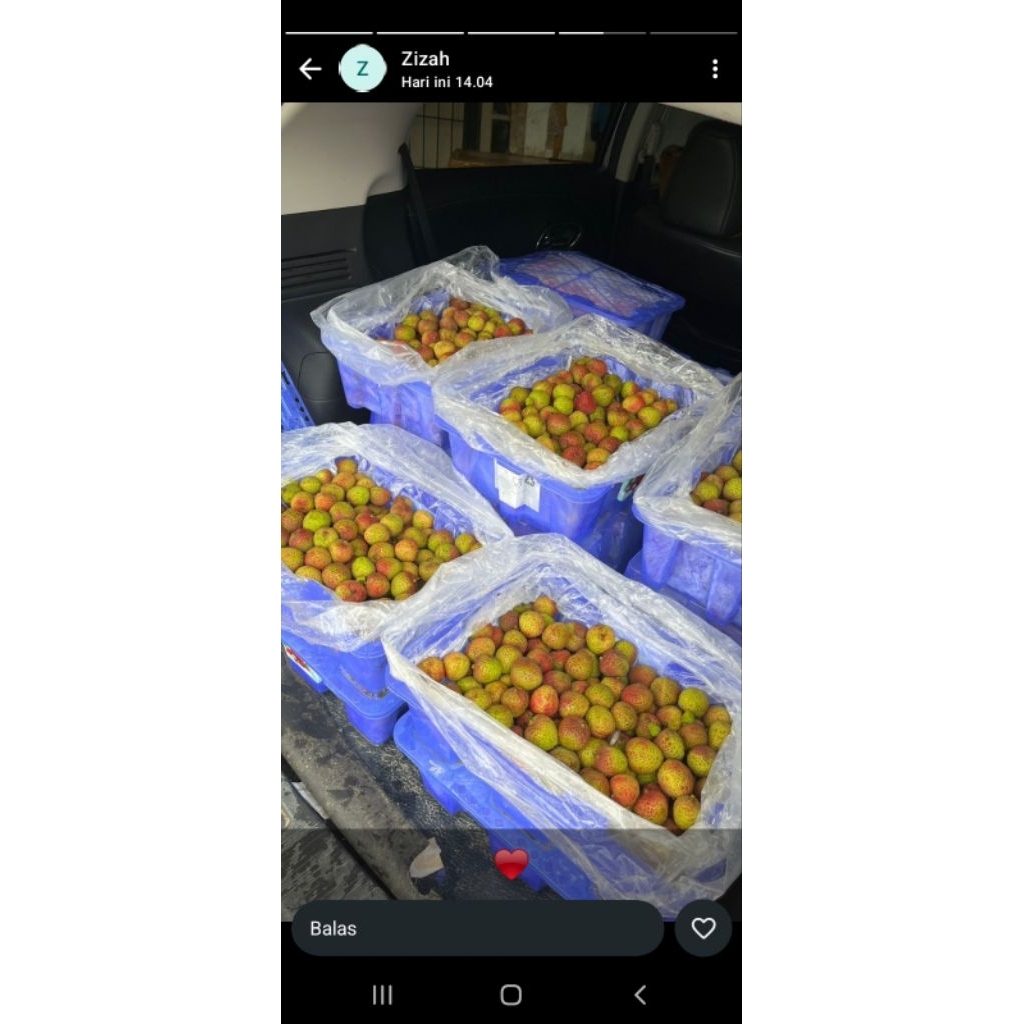 

leci madu 1kg