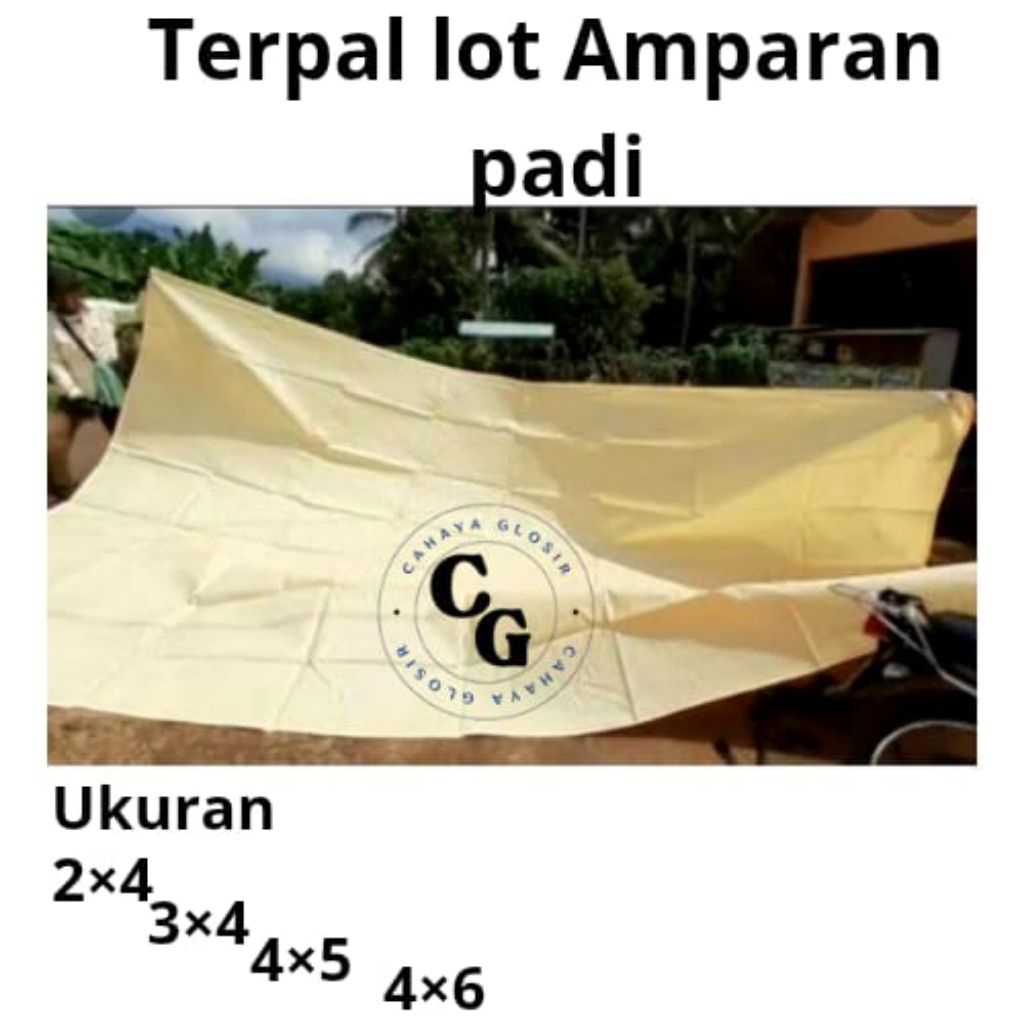 Terpal jemuran Padi 3x4 Meter Terpal jJemur Padi/Gabah terpal kuat tanpa Sambungan