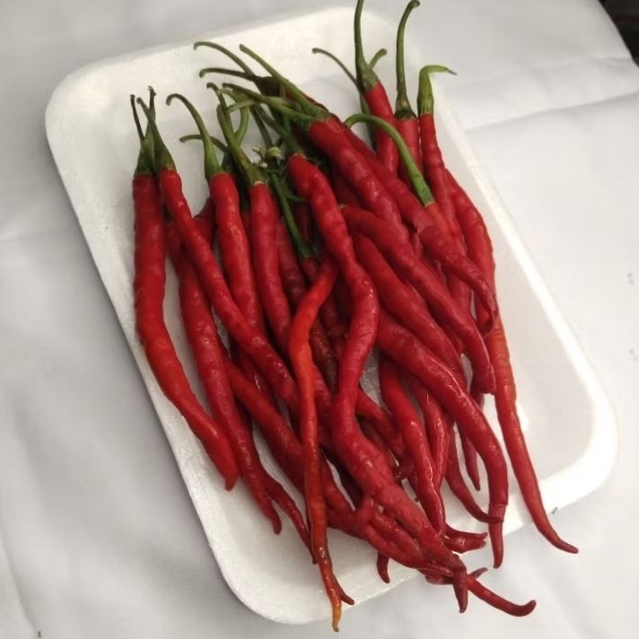 

Cabe merah keriting fresh 100 gr-250 gr/Diansayurpandugo