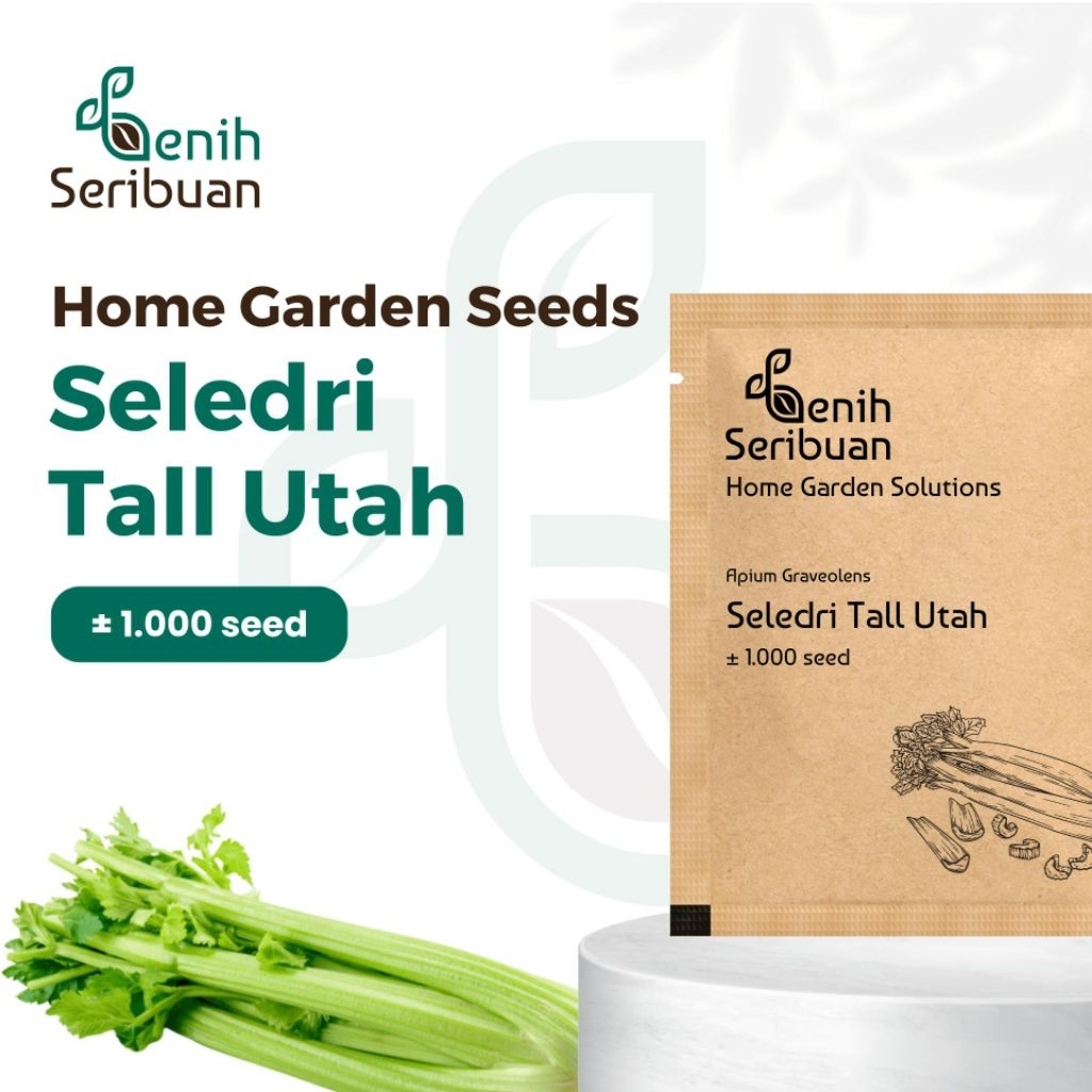 Benih Seledri Batang Besar
