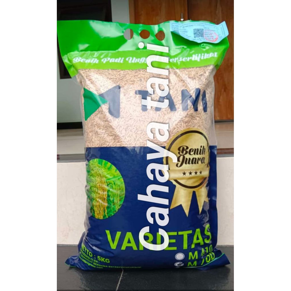 BIBIT PADI M70D Kemasan 5kg