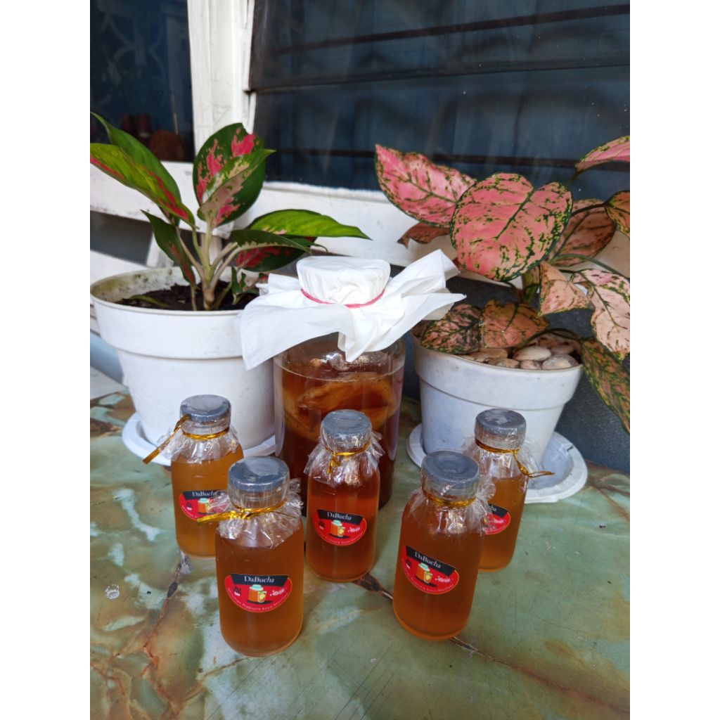 

Dambucha - Teh Kombucha Fermentasi Alami | Minuman Probiotik Sehat & Segar 200ml