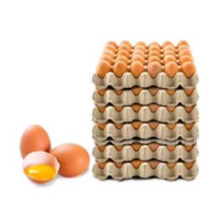 

1 PACK - 1 IKAT 15 KG Telur Ayam Negeri Fresh / Telor Ayam Negeri Fresh