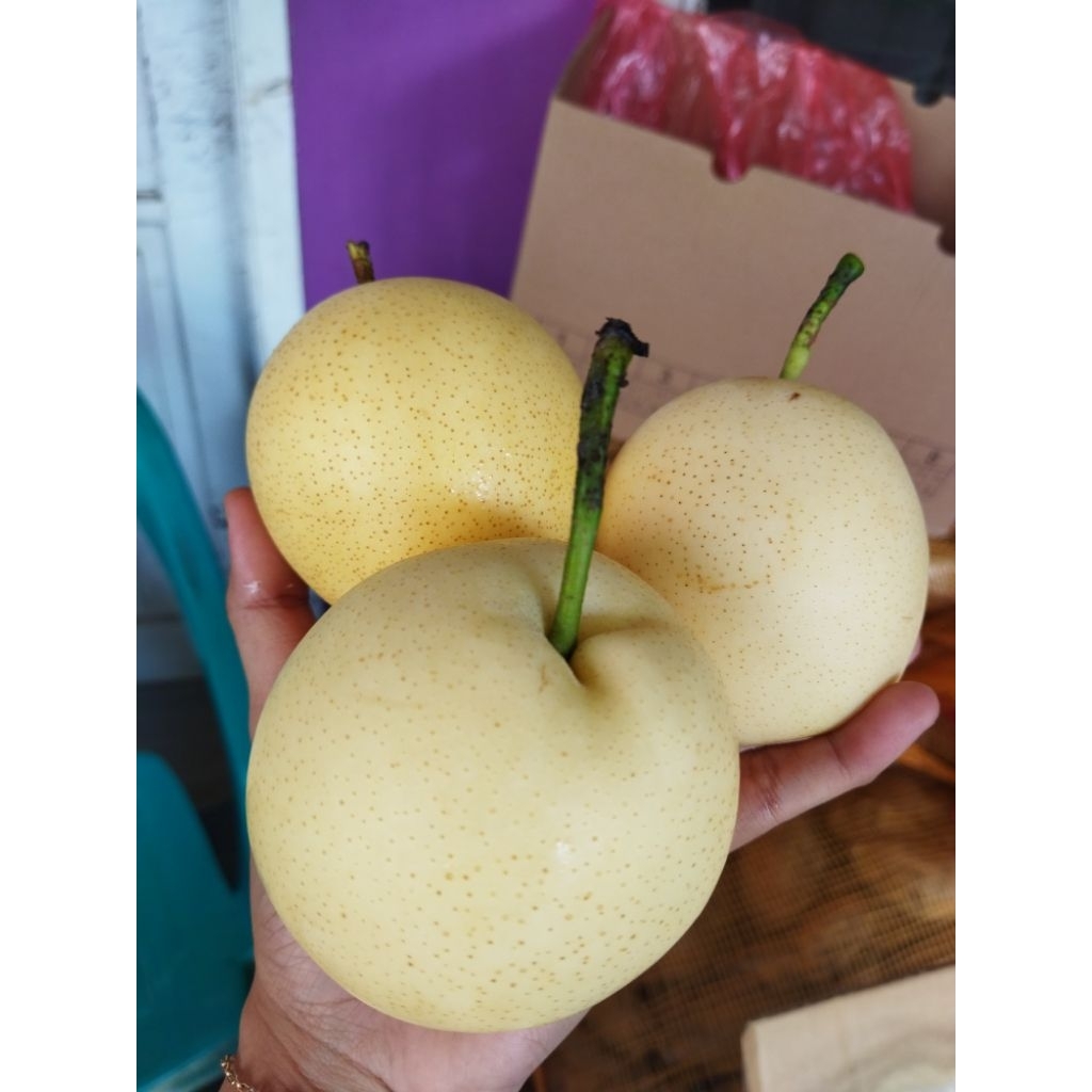 

Pear century/Pir madu