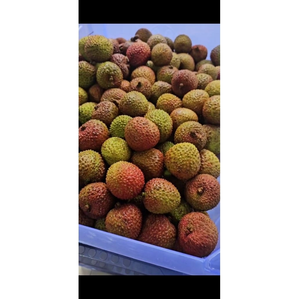 

buah lychee (leci) 500 gr