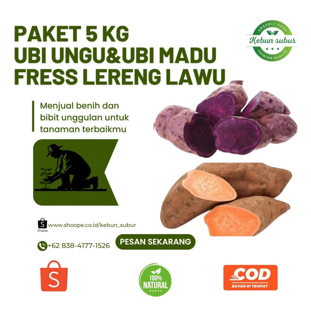 

KEBUN_SUBUR - Paket 5 Kg Ubi Ungu / Ubi Madu Fres Lereng Lawu