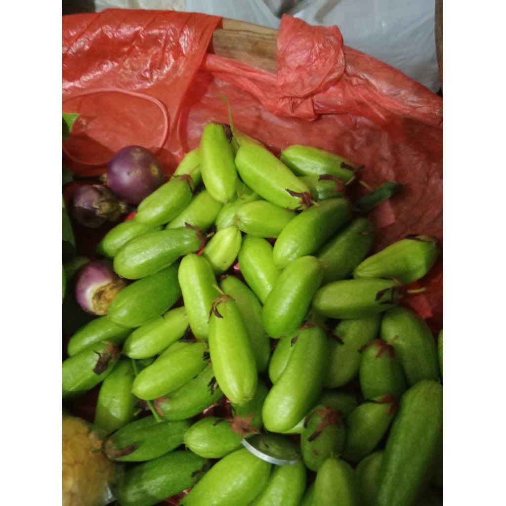 

blimbing wonogiri.sangat lezat buat sayur.50 gr