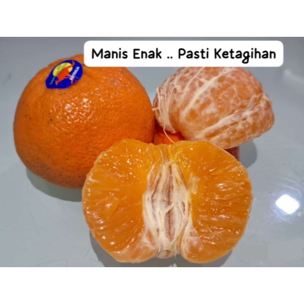 

JERUK BLUEGUM HONEY MURCOT AUSTRALIA (BERAT 1 KG)