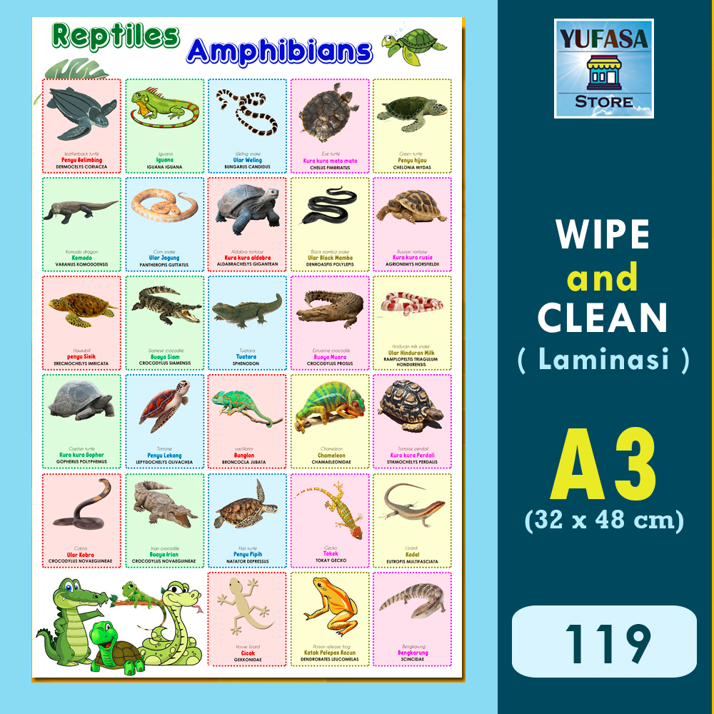 119 poster hewan reptil- Poster Edukasi Anak - Poster belajar anak - Poster wipe and clean - perleng