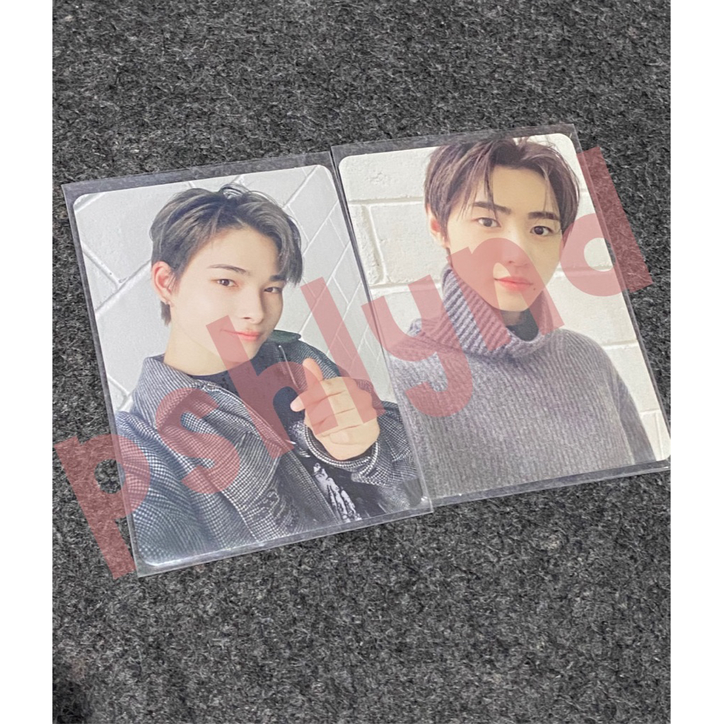 photocard enhypen official sunghoon riki ni-ki mcp