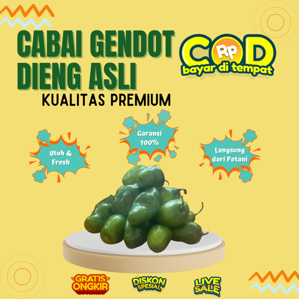 

Cabai Gendot Bendot Dieng Dieng Kualitas Premium Asli Utuh Fresh Garansi 100 Persen Langsung dari Petani