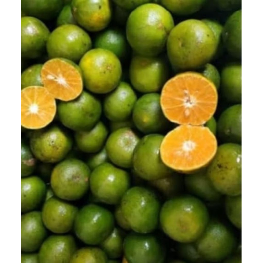 

jeruk peras fresh,,langsung petik dari pohon 1 kg