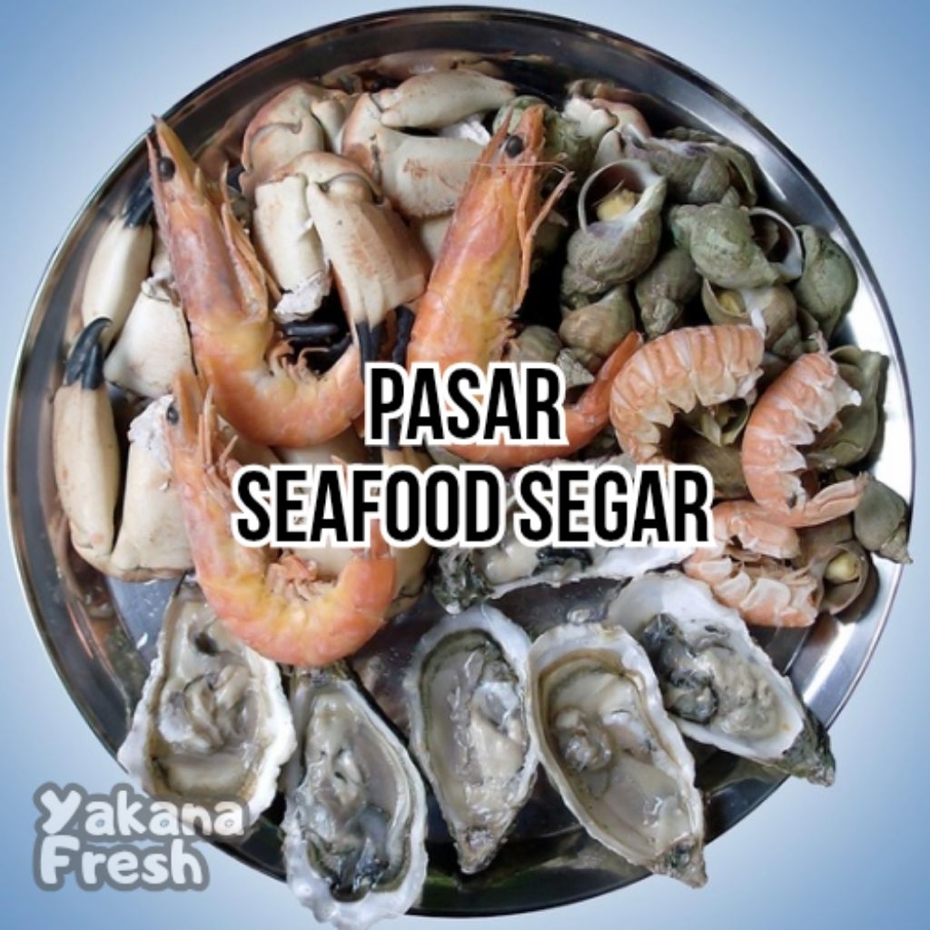 

Seafood Segar 500gr Udang Cumi Kerang Kepah Sotong