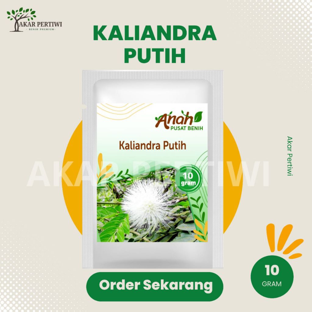 Akar Pertiwi - Benih Biji Pohon Kaliandra Putih 10 Gram