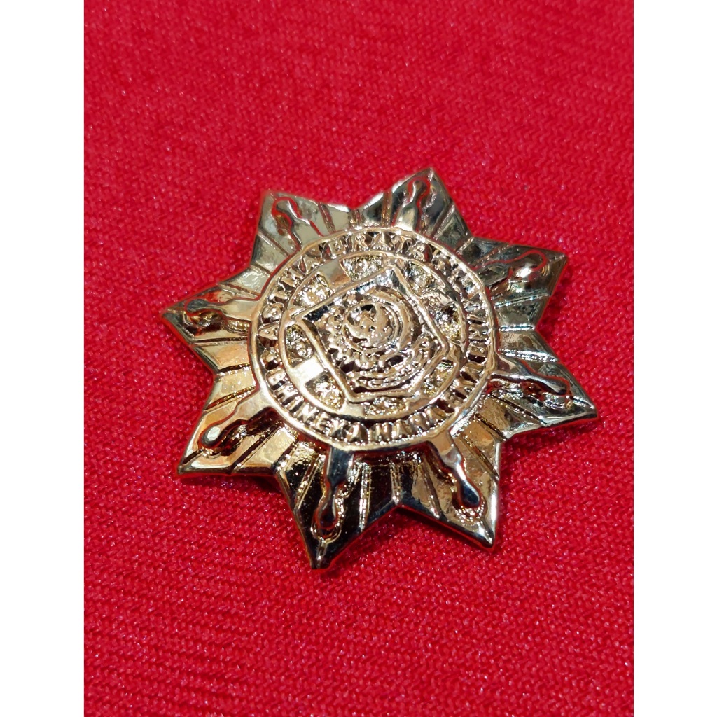 PIN ASTHABRATHA - PIN ALUMNI IPDN PIN PURNA IPDN