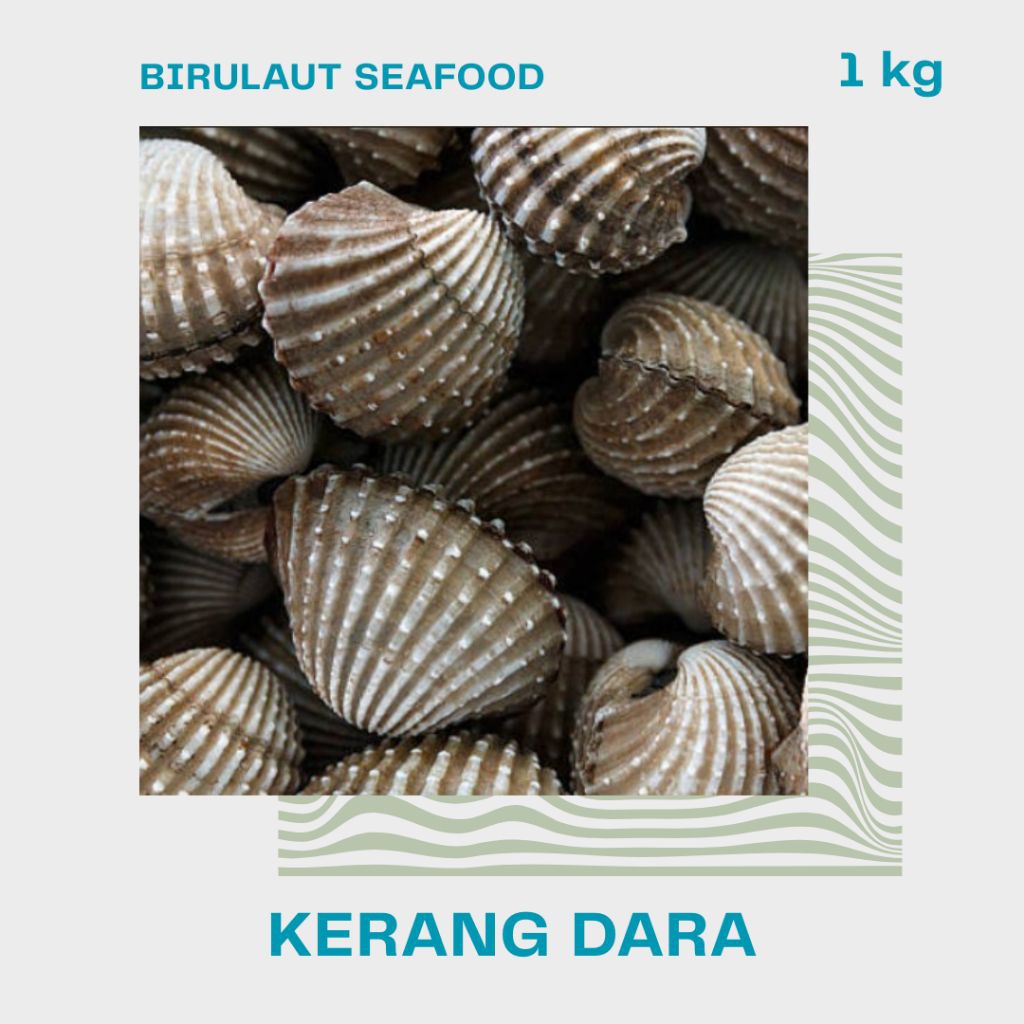 

KERANG DARA HIDUP SEGAR 1kg
