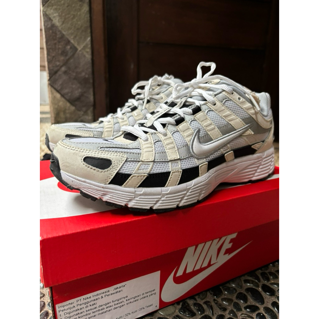 NikeP-6000