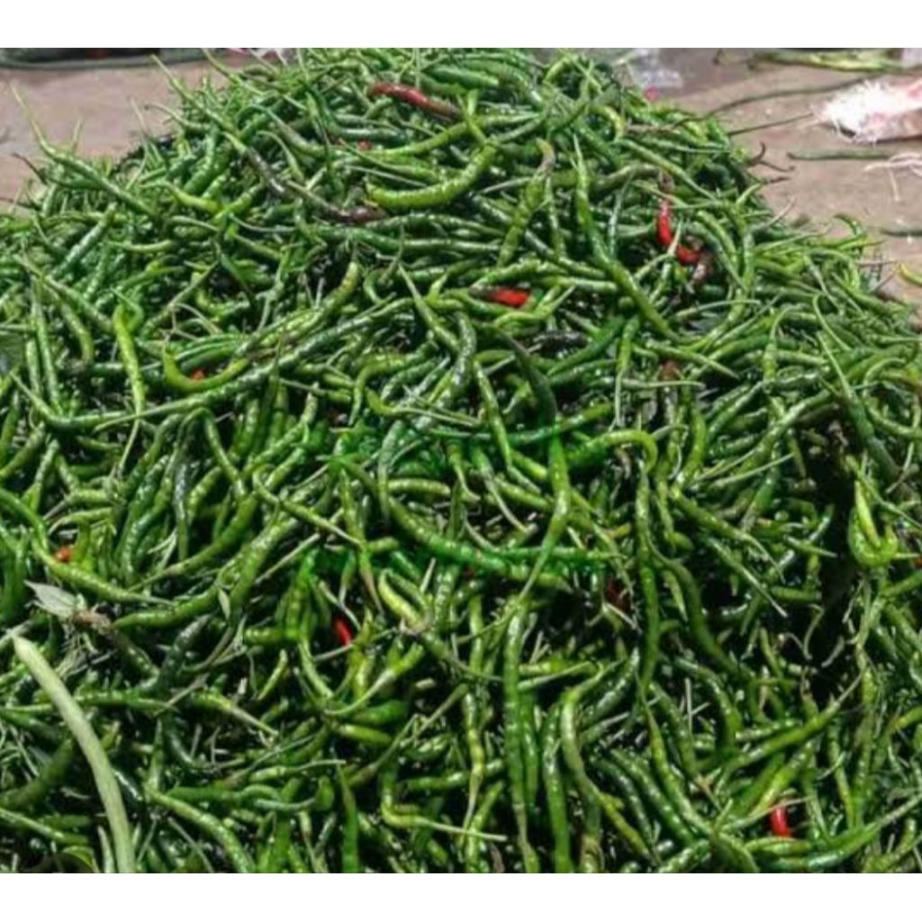

cabe keriting segar 500 gram bppn