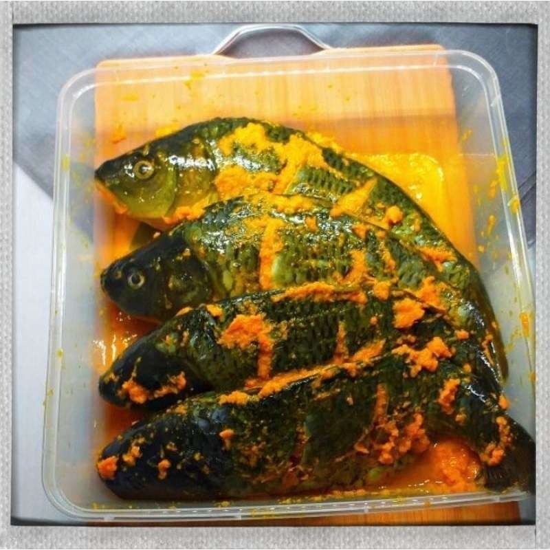 

Ikan Mas Marinasi Bumbu Kuning ikan segar Marinasi ikan mas 500 Gram