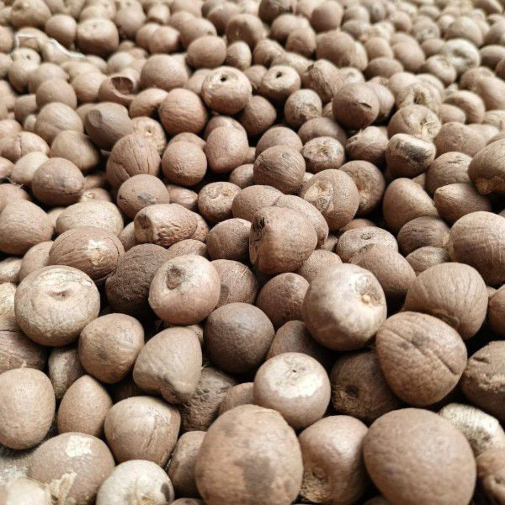 

BIJI PINANG KERING/JAMBE 500 GR/1 KG