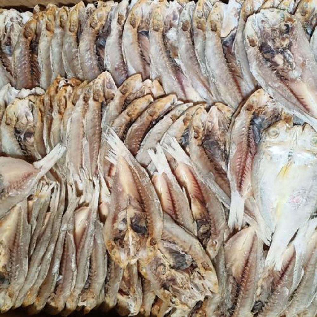 

ikan kuniran belah khas Madura