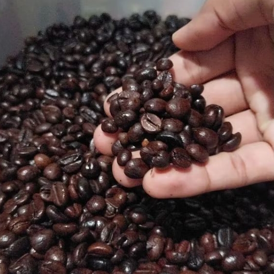 

Roastbean biji Utuh kopi Temanggung Kualitas super