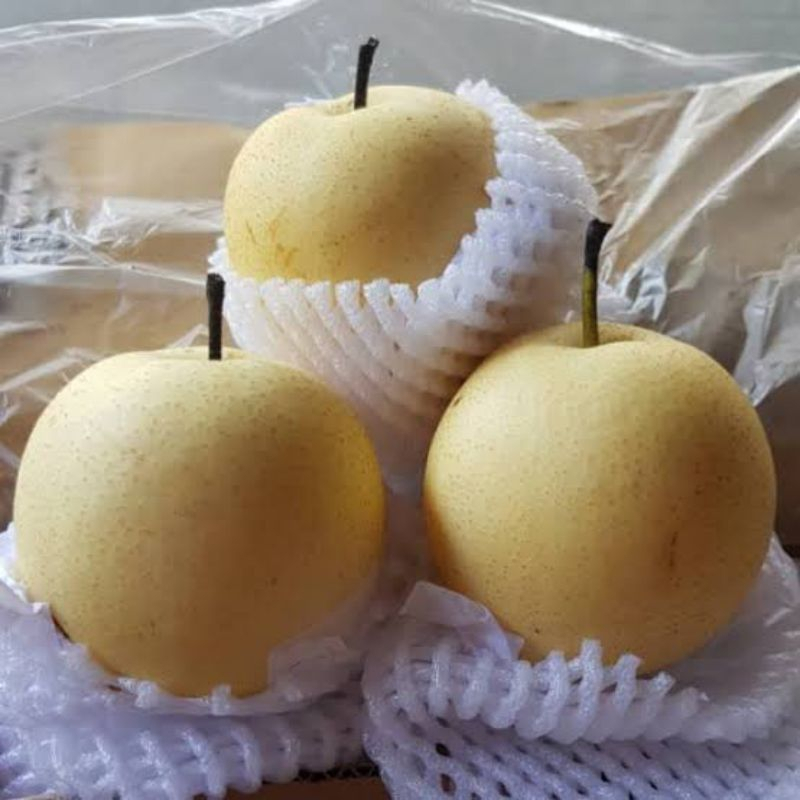 

BUAH PIR 1 KG_PEAR 1 KG_ PIR PUTIH 1 KG