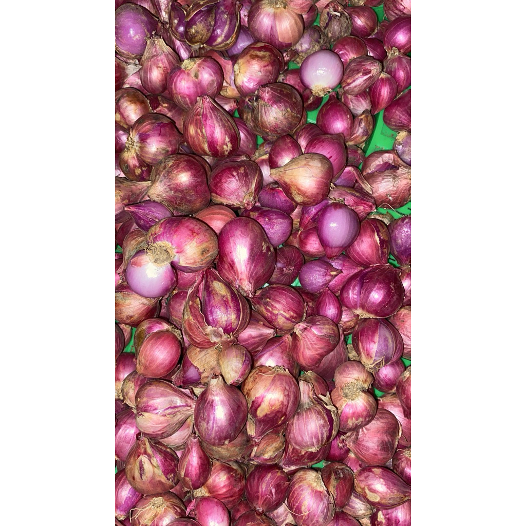 

BAWANG MERAH PROBOLINGGO KUALITAS SUPERRRR DENGAN BERAT 500gr