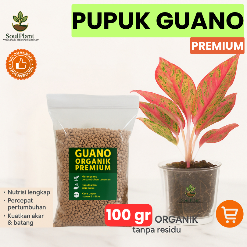 SoulPlant - Pupuk Guano Tinggi Phosphate I 100gr Untuk Tanaman Hias Sayur Buah