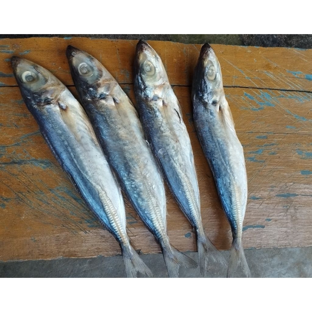 

ikan asin pedho 250g